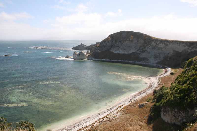 Nieuw-Zeeland 2011 - 1153